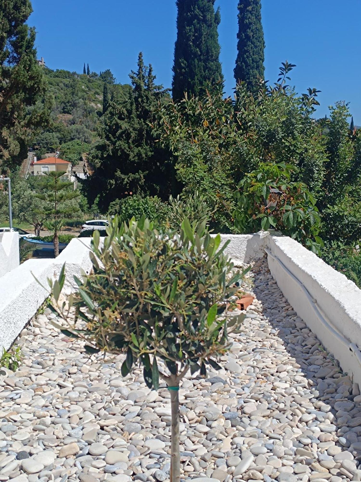 Aparthotel Athina Kerveli