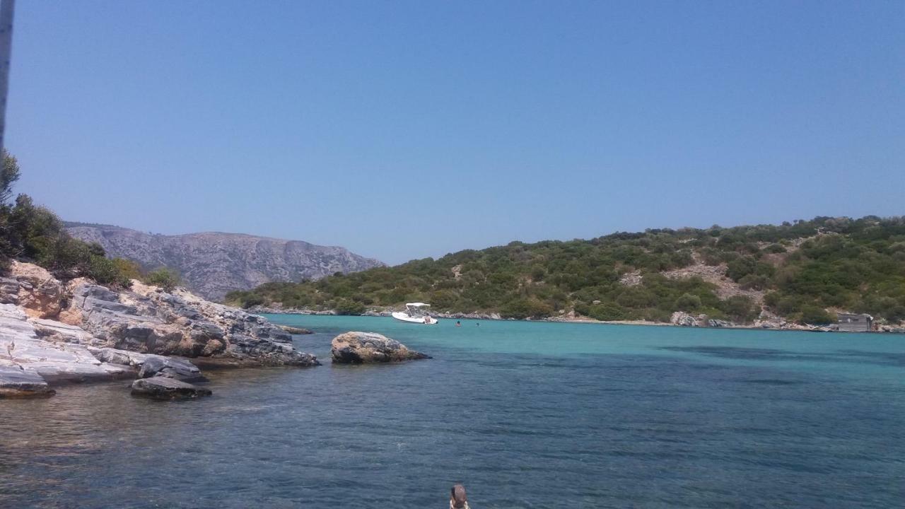 Athina Kerveli